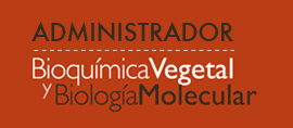 DEPARTAMENTO DE BIOQUÍMICA VEGETAL Y BIOLOGÍA MOLECULAR Universidad de