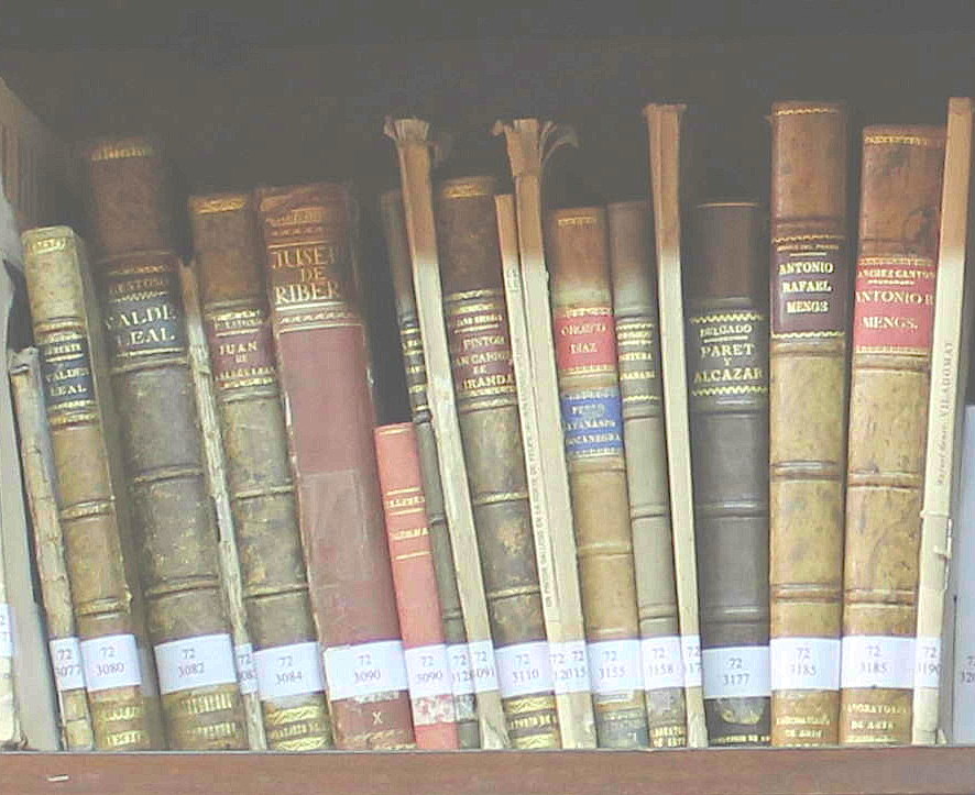 Libros en una Biblioteca