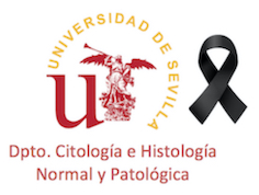Departamento de Citología e Histología Normal y Patológica