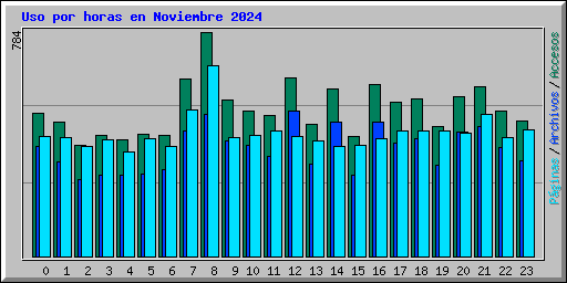 Uso por horas en Noviembre 2024