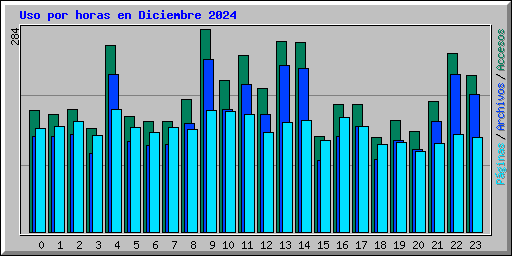 Uso por horas en Diciembre 2024