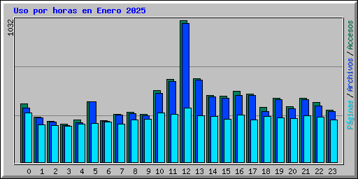 Uso por horas en Enero 2025