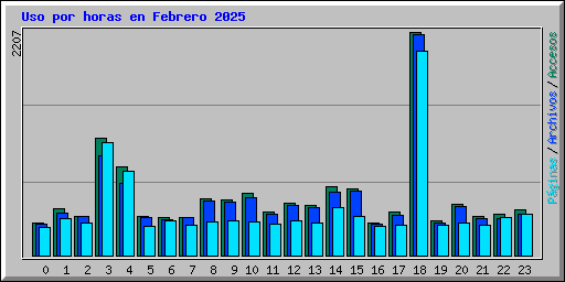 Uso por horas en Febrero 2025