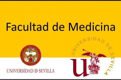 Grado en Medicina
