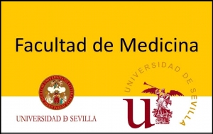 Grado en Medicina