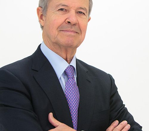 D. Luis Salvador Martínez