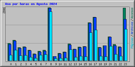 Uso por horas en Agosto 2024