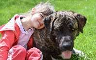 Niña con perro, foto de archivo